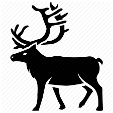 Elk1