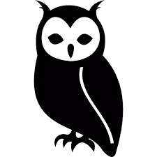 WiseOwl1