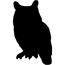 WiseOwl2